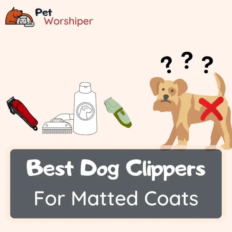 Best dog clippers for matted hair