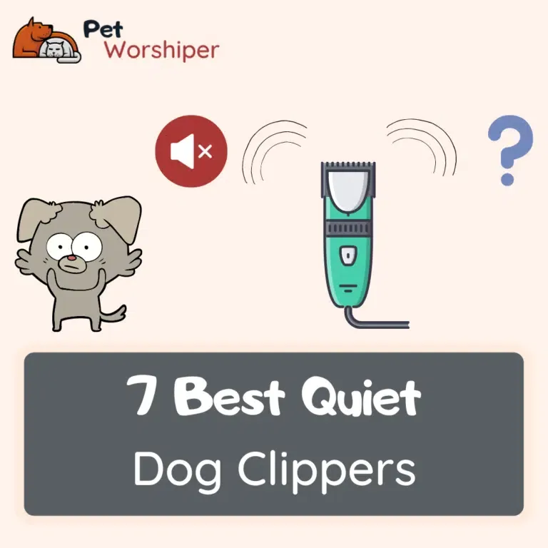 Best quiet dog clippers