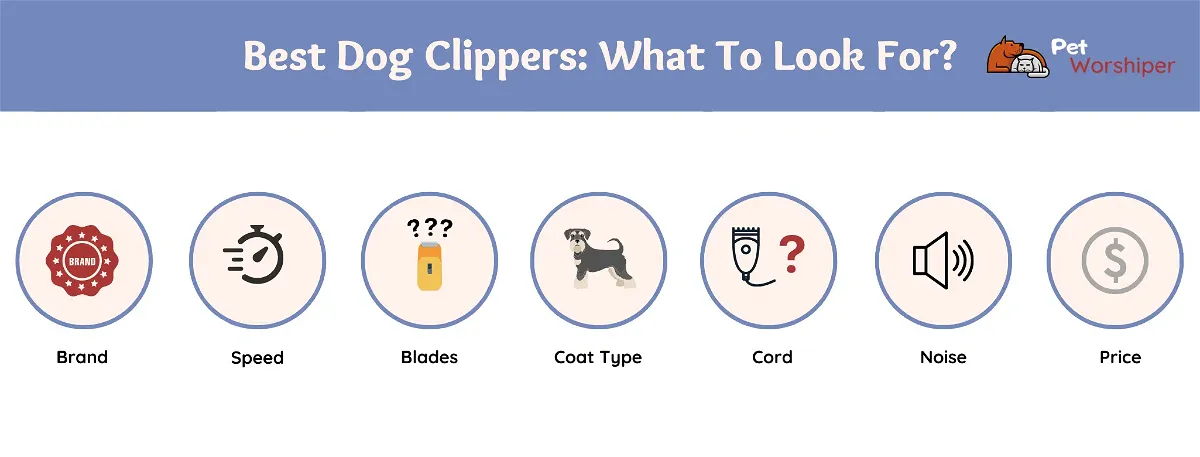 what to look for when choosing a dog clipper
