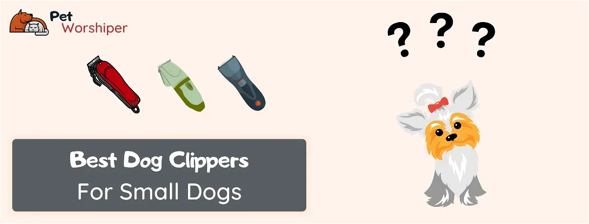 best dog clippers for small dogs