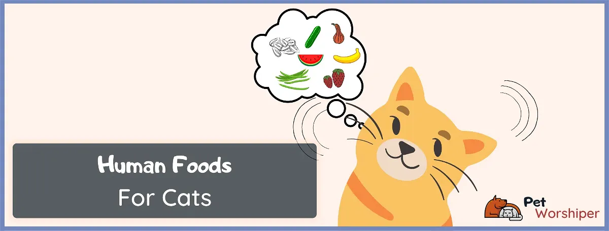 human foods for cats