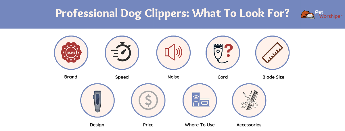 choosing a professional dog clipper